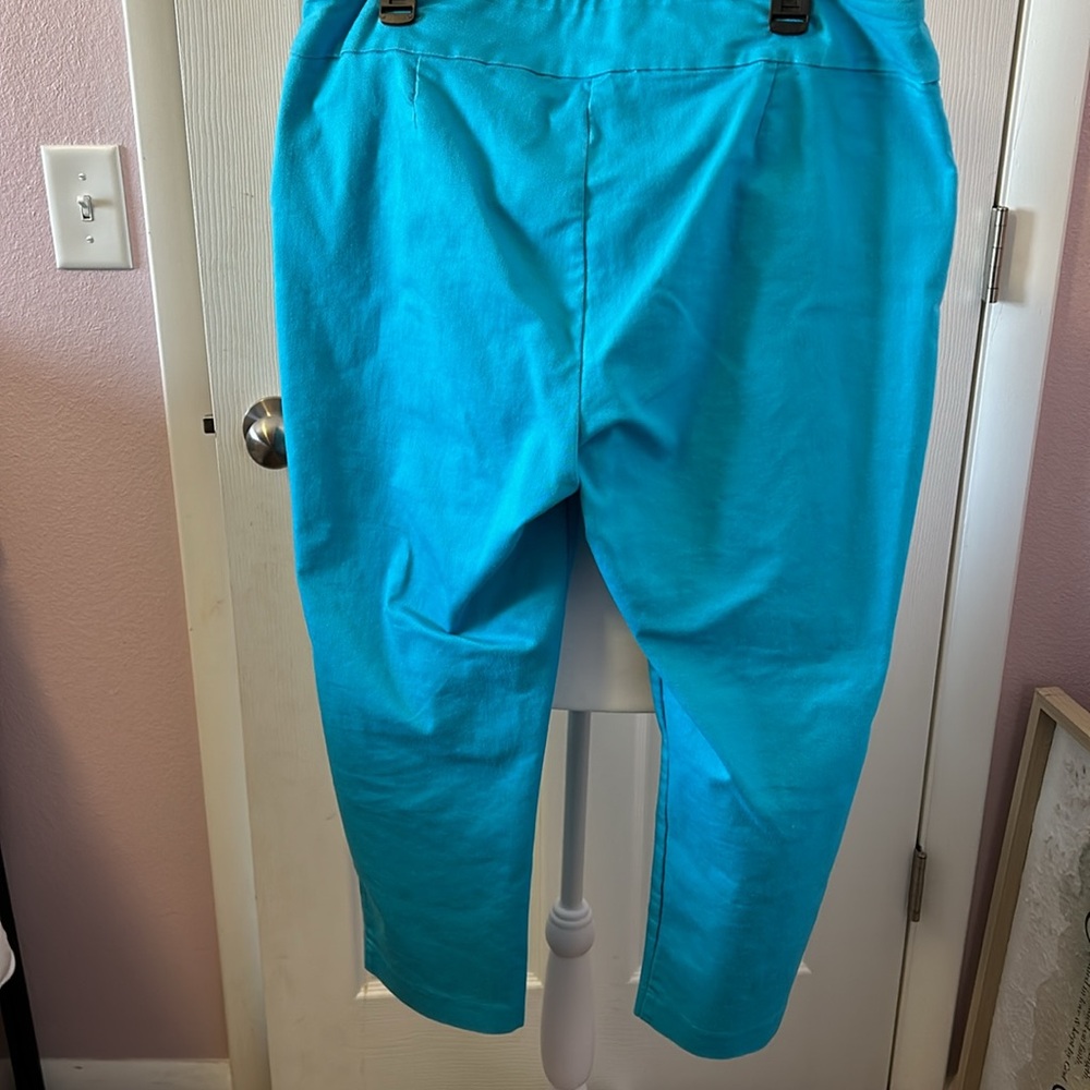 Adorable capris - Picture 2 of 3